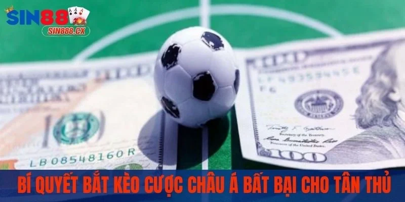 Bí quyết bắt kèo cược châu Á bất bại cho tân thủ