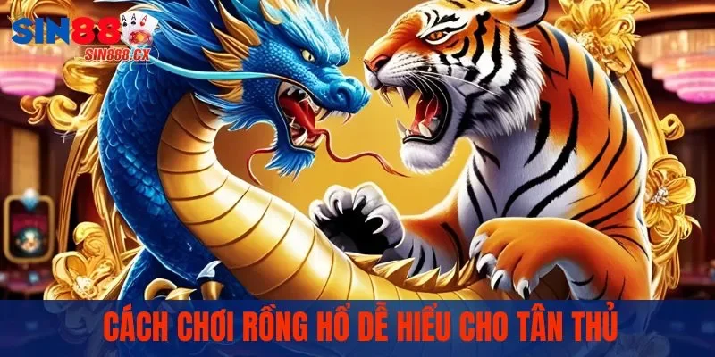 Cách chơi rồng hổ dễ hiểu cho tân thủ
