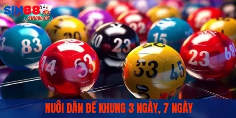 Cách nuôi dàn đề với 50 số theo khung 3 đến 7 ngày