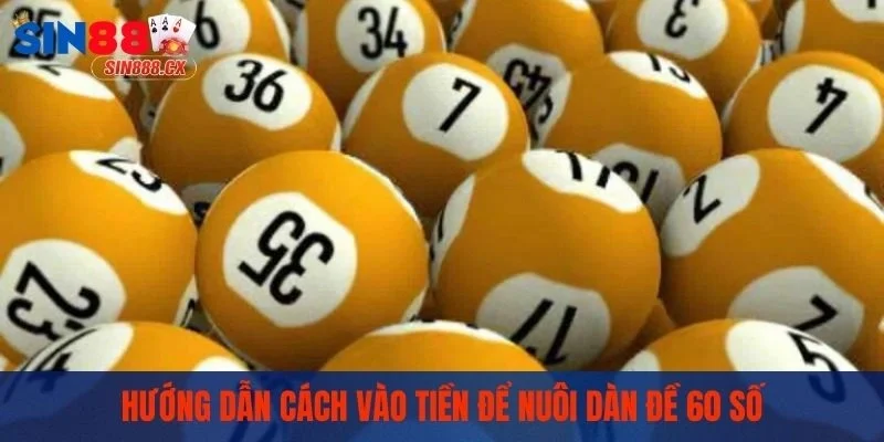 Hướng dẫn cách vào tiền để nuôi dàn đề 60 số